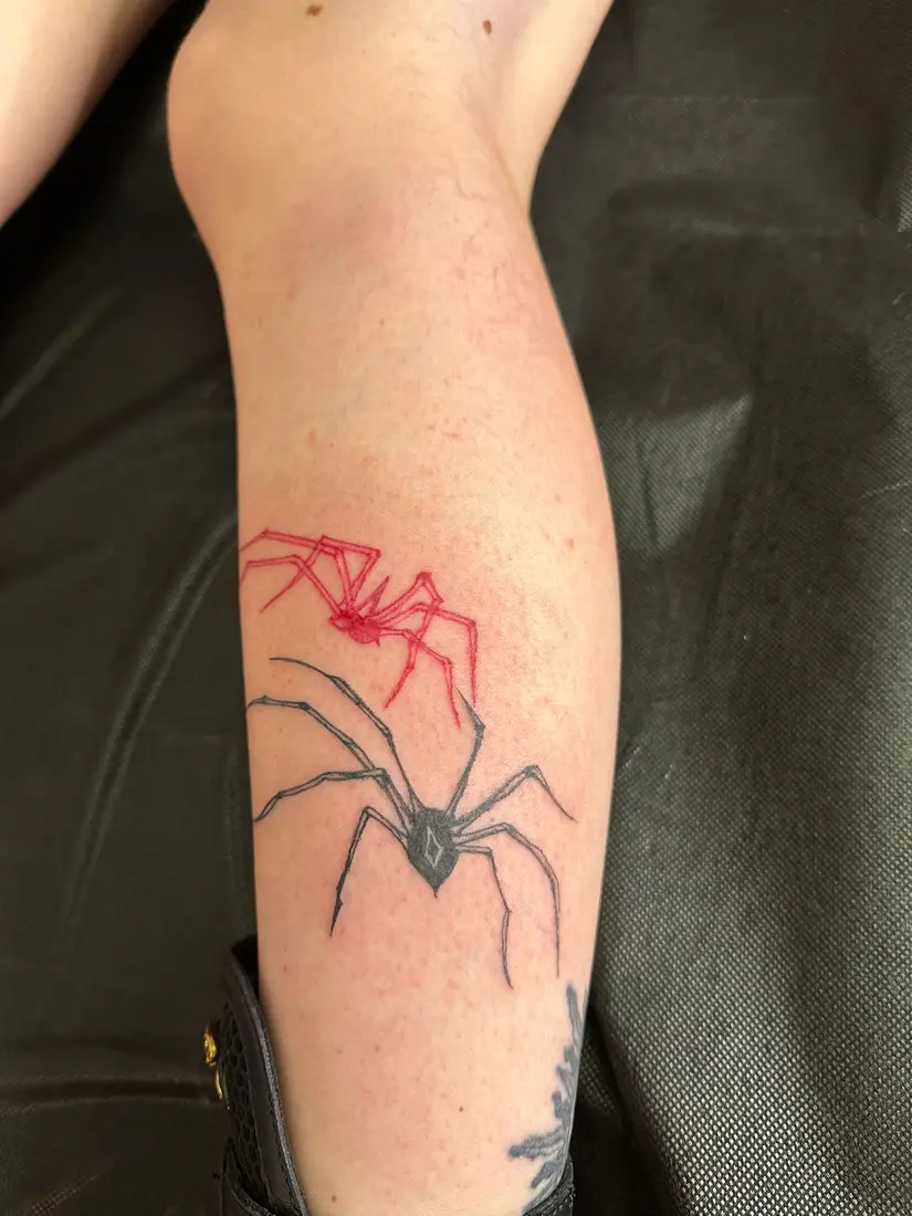 Păianjeni Red Ink & Black Widow